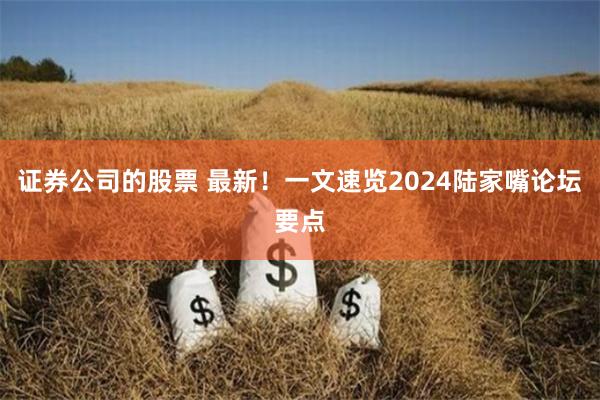 证券公司的股票 最新!一文速览2024陆家嘴论坛要点