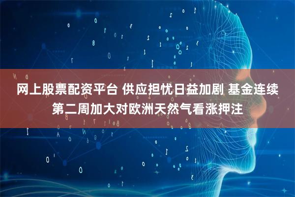 网上股票配资平台 供应担忧日益加剧 基金连续第二周加大对欧洲天然气看涨押注